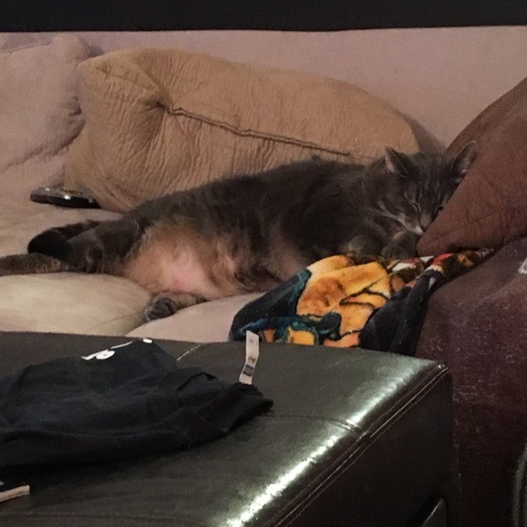 Meet your Posher, Shannon - Picture 1 of 2